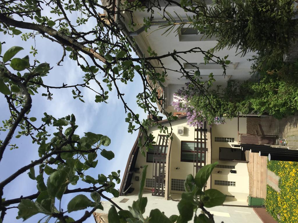 Casa Transilvania Brasov Ngoại thất bức ảnh